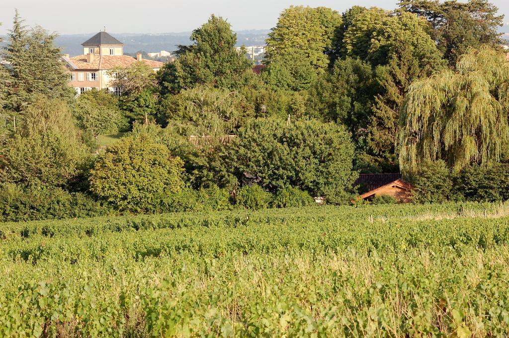 Bed and Breakfast Le Montellier Blacé Exterior foto